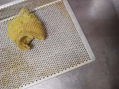 手作り石鹸は油汚れが良く落ちます。換気扇のフィルター油汚れを掃除