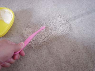 歯ブラシで擦ってカーペット掃除