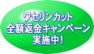 ワセリンカット全額返金制度　ワセリンベトベト汚れ落とし洗濯洗剤